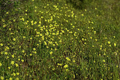BUITEN BEELD Foto: 442321