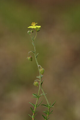 BUITEN BEELD Foto: 442331