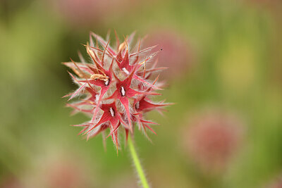 BUITEN BEELD Foto: 442348