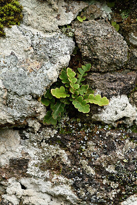 BUITEN BEELD Foto: 442350