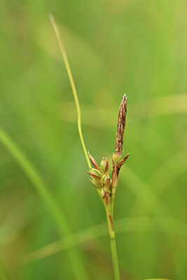 BUITEN BEELD Foto: 442372