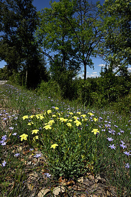 BUITEN BEELD Foto: 442374