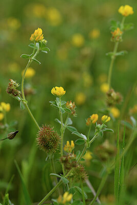 BUITEN BEELD Foto: 442390