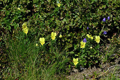 BUITEN BEELD Foto: 442391