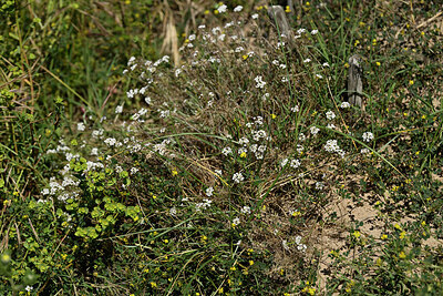 BUITEN BEELD Foto: 442392