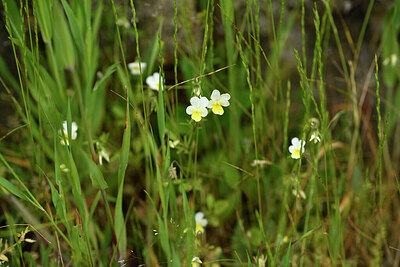 BUITEN BEELD Foto: 442400