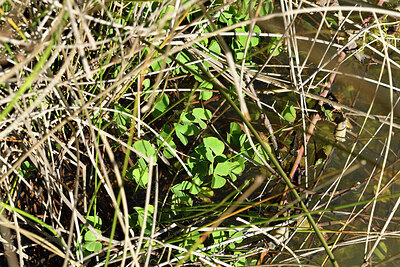 BUITEN BEELD Foto: 442411