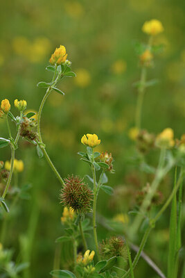 BUITEN BEELD Foto: 442429