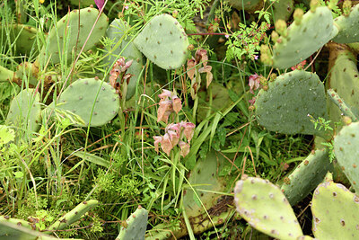 BUITEN BEELD Foto: 442439