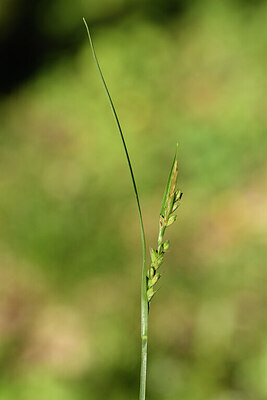 BUITEN BEELD Foto: 442447