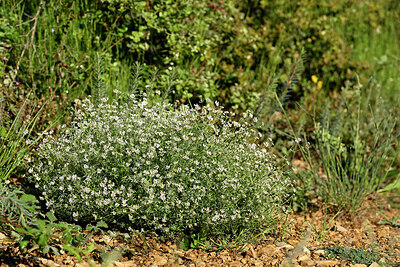 BUITEN BEELD Foto: 442453
