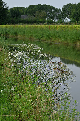 BUITEN BEELD Foto: 442455