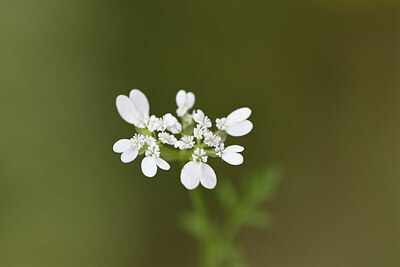 BUITEN BEELD Foto: 442461
