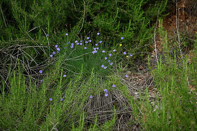 BUITEN BEELD Foto: 442464