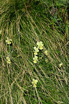 BUITEN BEELD Foto: 442469