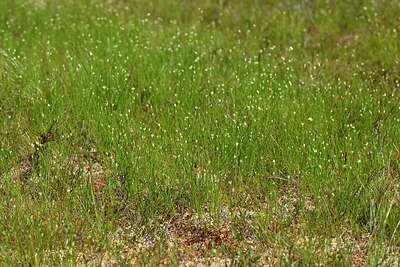 BUITEN BEELD Foto: 442496