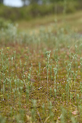 BUITEN BEELD Foto: 442513