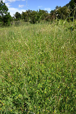 BUITEN BEELD Foto: 442522