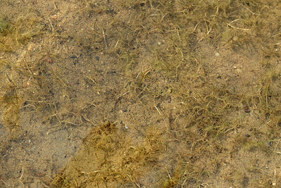 BUITEN BEELD Foto: 442526