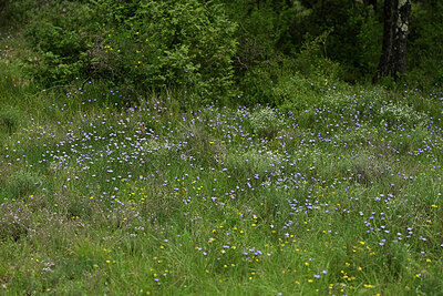 BUITEN BEELD Foto: 442540