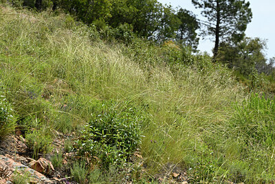 BUITEN BEELD Foto: 442600