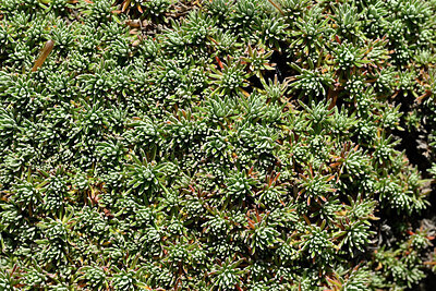 BUITEN BEELD Foto: 442601