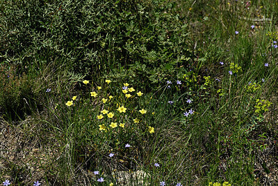BUITEN BEELD Foto: 442628