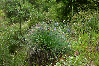 BUITEN BEELD Foto: 442640