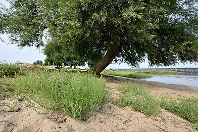 BUITEN BEELD Foto: 442641