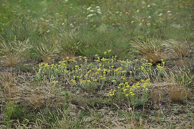 BUITEN BEELD Foto: 442666
