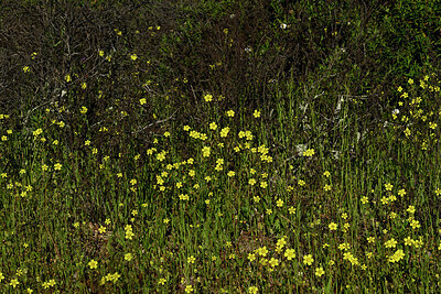 BUITEN BEELD Foto: 442684