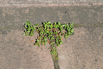 BUITEN BEELD Foto: 442723