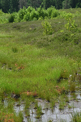 BUITEN BEELD Foto: 442728
