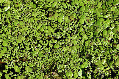 BUITEN BEELD Foto: 442745