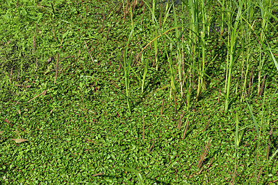 BUITEN BEELD Foto: 442747