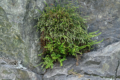 BUITEN BEELD Foto: 442756