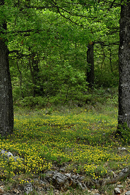 BUITEN BEELD Foto: 442759