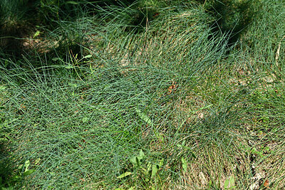 BUITEN BEELD Foto: 442762