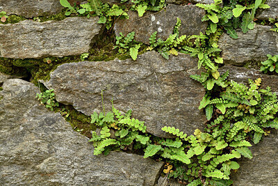BUITEN BEELD Foto: 442789