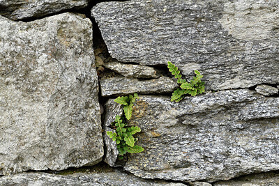 BUITEN BEELD Foto: 442790