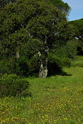 BUITEN BEELD Foto: 442805