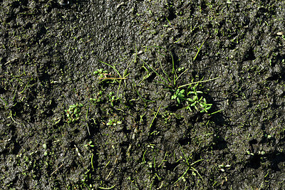 BUITEN BEELD Foto: 442808