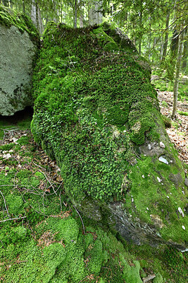 BUITEN BEELD Foto: 442830
