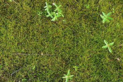 BUITEN BEELD Foto: 442834