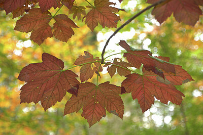 BUITEN BEELD Foto: 442888