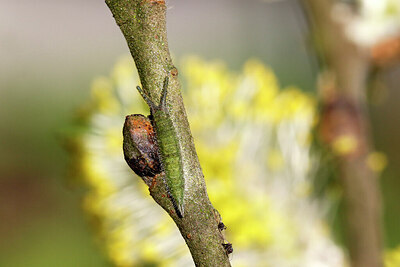 BUITEN BEELD Foto: 442965