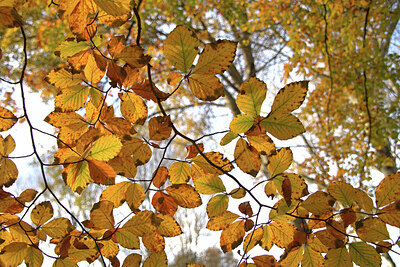 BUITEN BEELD Foto: 442971