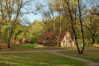 BUITEN BEELD Foto: 442979