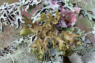 BUITEN BEELD Foto: 443034