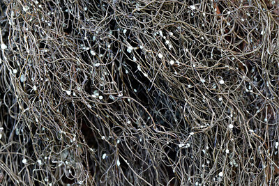 BUITEN BEELD Foto: 443114